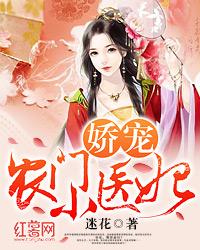 娇宠农门小医妃全集免费观看